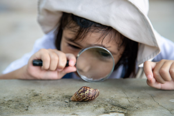 trees_ecosistemas_0002_niña con lupa descubriendo una caracola.jpg