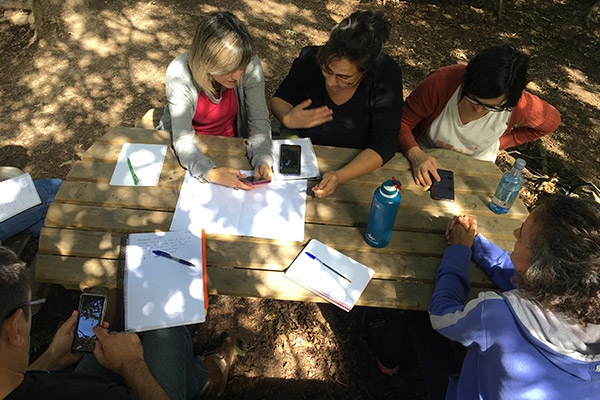 trees_ecosistemas_trabajo_equipo