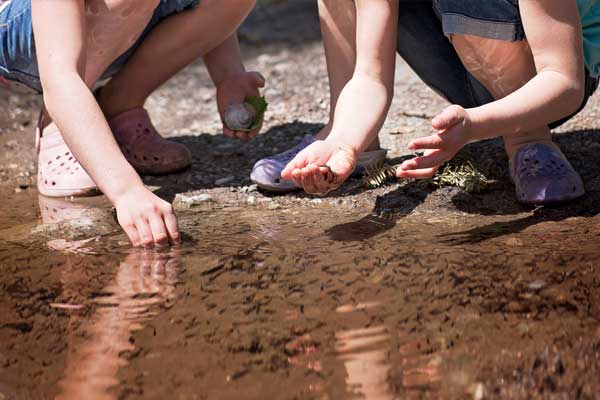adolescencia-descubriendo-naturaleza